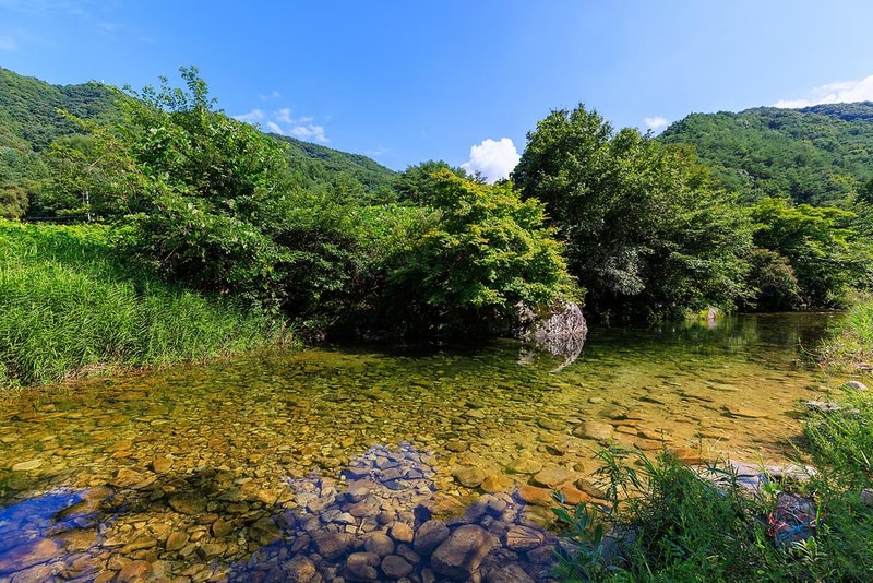 캠프더포레 시설 사진 13