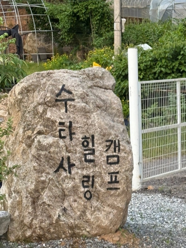 [홍천] 수타사 힐링 캠프 후기