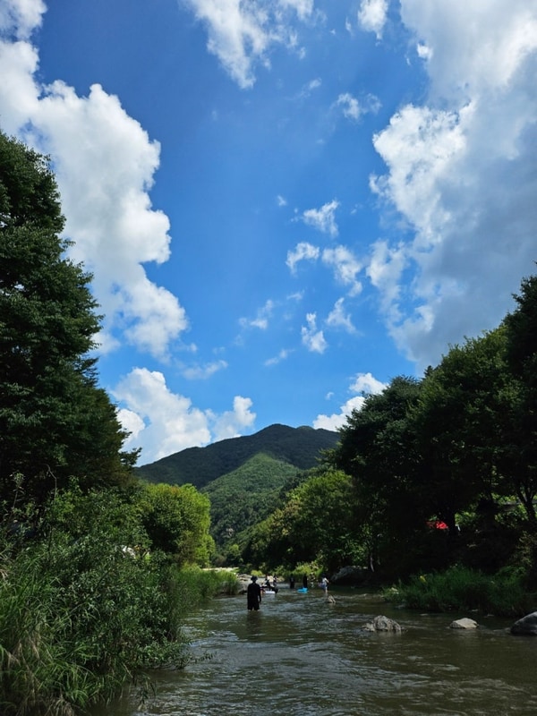 [캠핑] 양평온누리캠핑장 당일캠프닉존_양평 당일치기 계곡...
