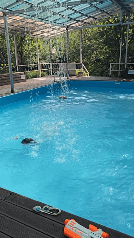 전북 부안 캠핑장 수영장 내소힐링캠프 추천