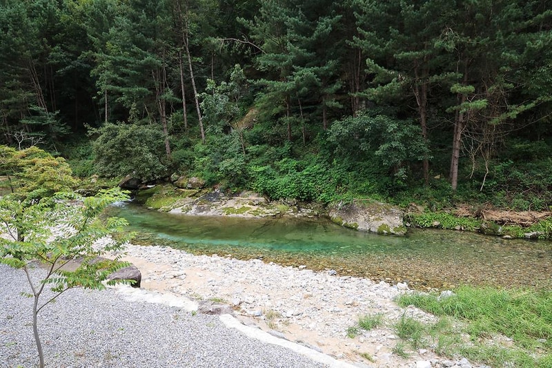 메기의 추억 시설 사진 10