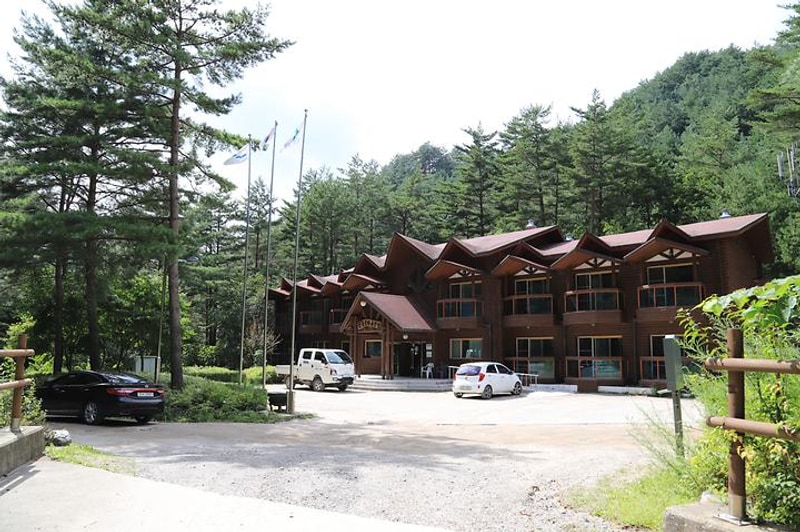 태백고원자연휴양림 야영장 대표 사진