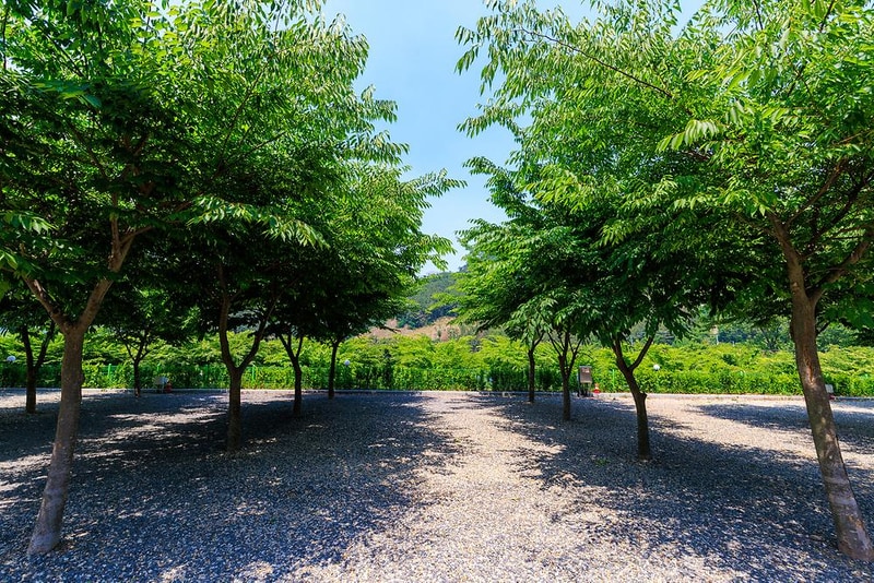 밀양 가보자 캠핑장 시설 사진 8