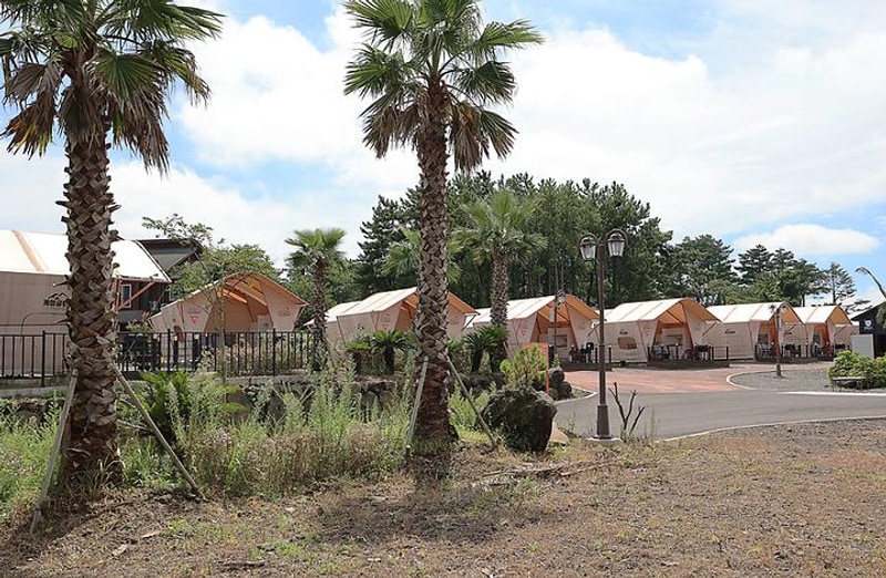 K-글램핑 애월점 대표 사진