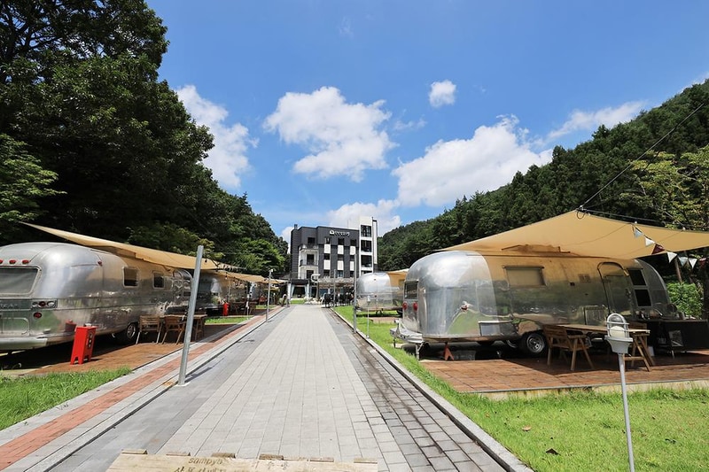 선인장 시설 사진 18