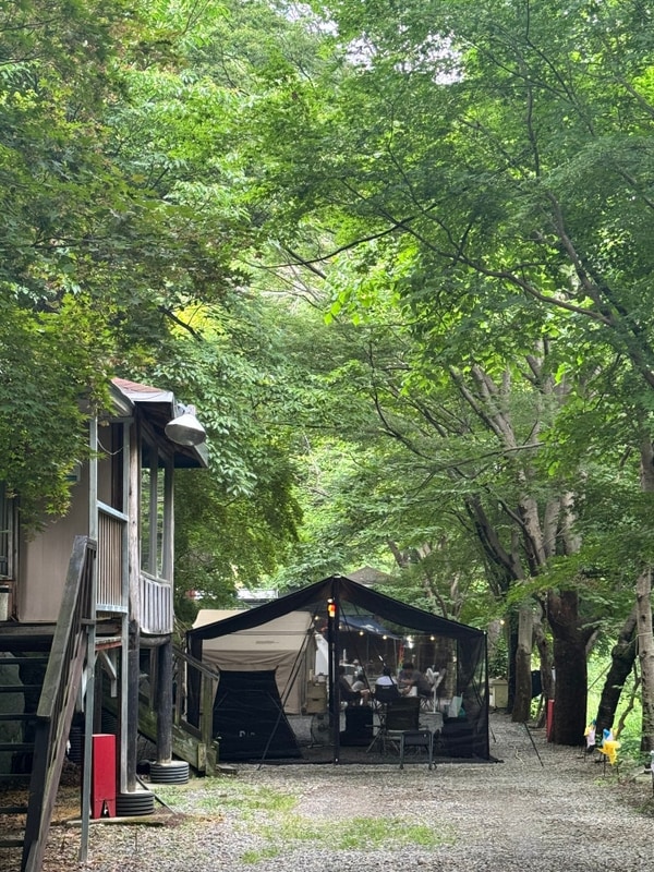 이런 계곡이면 완벽하지 않을까? (feat. 천안 호두나무캠핑장)