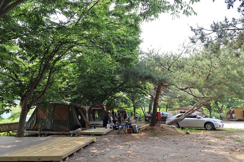 황산도캠핑장 시설 사진 2