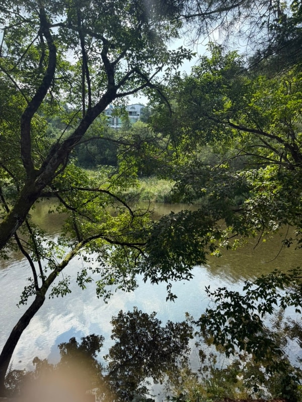 강원도 평창 계곡 캠핑장 펜션, 아이와 함께 가기 좋은 쪽빛하늘