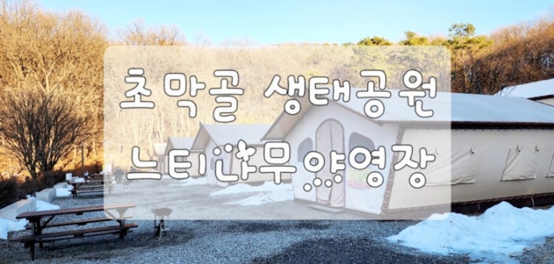[경기/군포]초막골생태공원 느티나무야영장