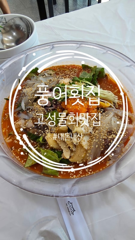 [고성] 봉수대오토캠핑장 근처 물회 맛집 풍어횟집 푸짐한...