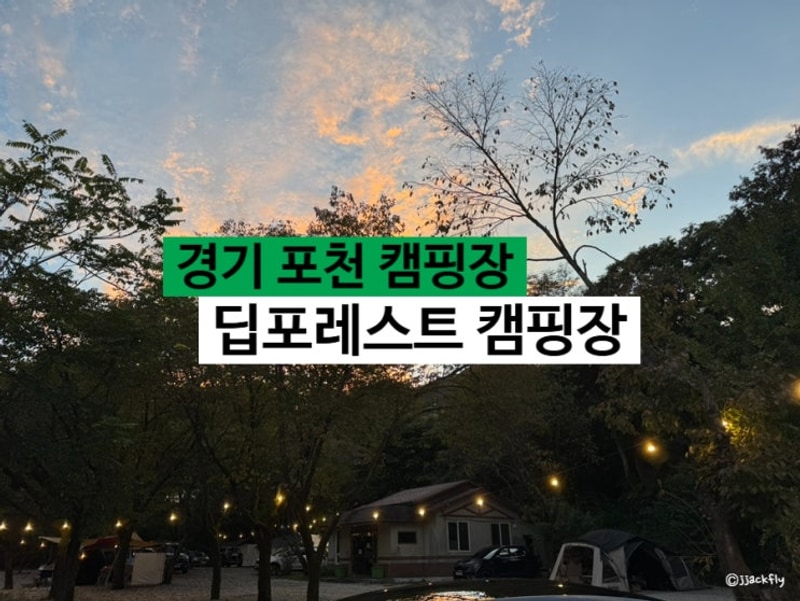 숲속 캠핑장 추천 포천 '딥포레스트 캠핑장' + 자리 리뷰 추천...