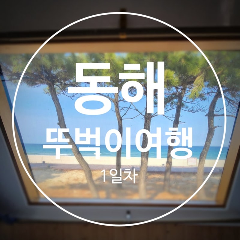 [동해/뚜벅이여행] 1. 묵호역, 동해망상오토캠핑리조트 250402.