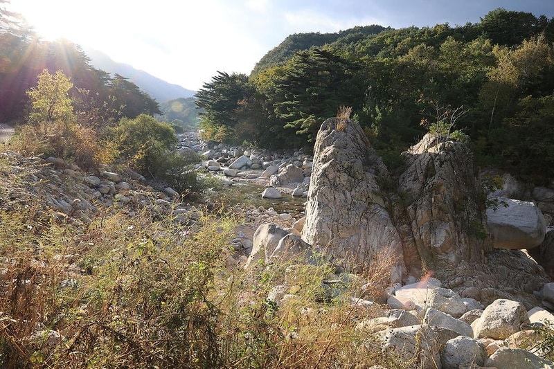 양양오색 휴랜드 야영장 시설 사진 23