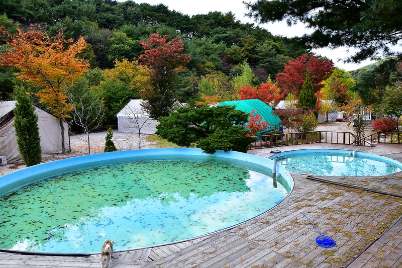 자일랜드 시설 사진 17