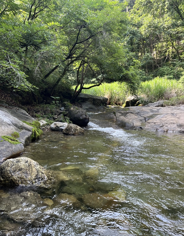 [가평 그라티아 글램핑] 화장실, 에어컨 다 있는 쾌적한 글램핑...
