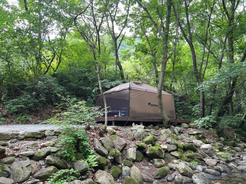 충북 제천 캠핑장] 덕동 계곡 덕동골오토캠핑장 - D1사이트...