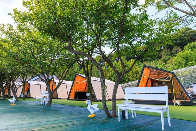 (주)청도 프로방스 글램핑 대표 사진