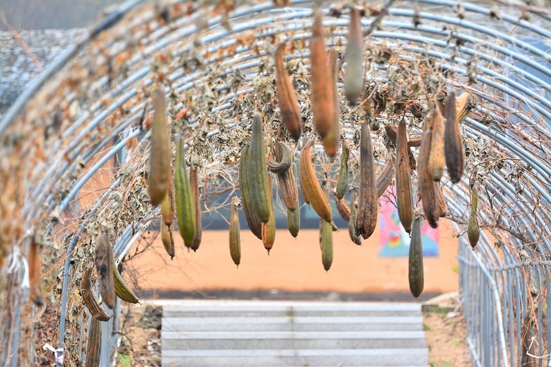 연미향마을 오토캠핑장 시설 사진 10