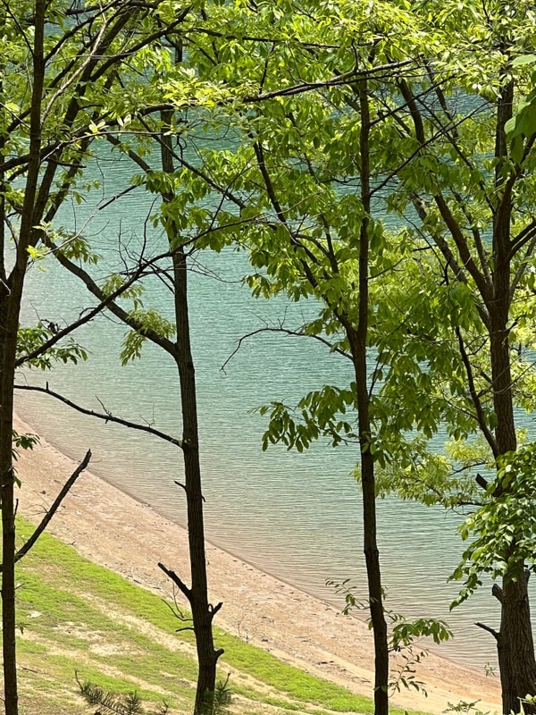 충주 캠핑장] 충주호캠핑월드 단독오토 사이트, 숲속 일반오토...