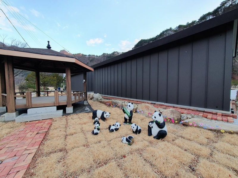 파인트리캠핑장 시설 사진 40