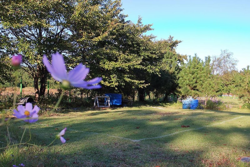 칠포오토캠핑장 시설 사진 4