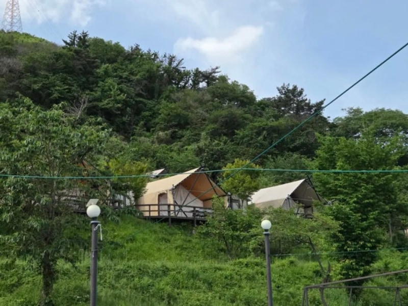 포항 글램핑장 추천 엘포리글램핑 승마체험+바베큐+불멍+개별...