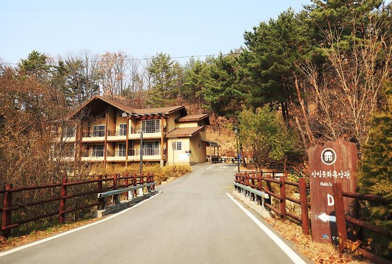 국립용화산자연휴양림 대표 사진