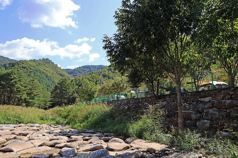 보랏빛오토캠핑장 시설 사진 4