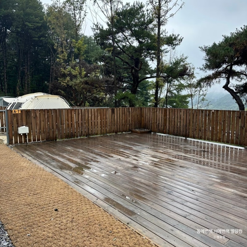 가평 선택적고립 캠핑장 명당 사이트 장단점 총정리