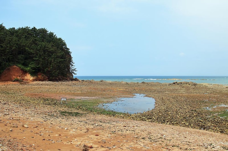 어은돌송림캠핑장 시설 사진 14