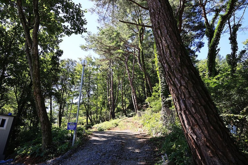 아리아리 숲속의 야영장 시설 사진 6