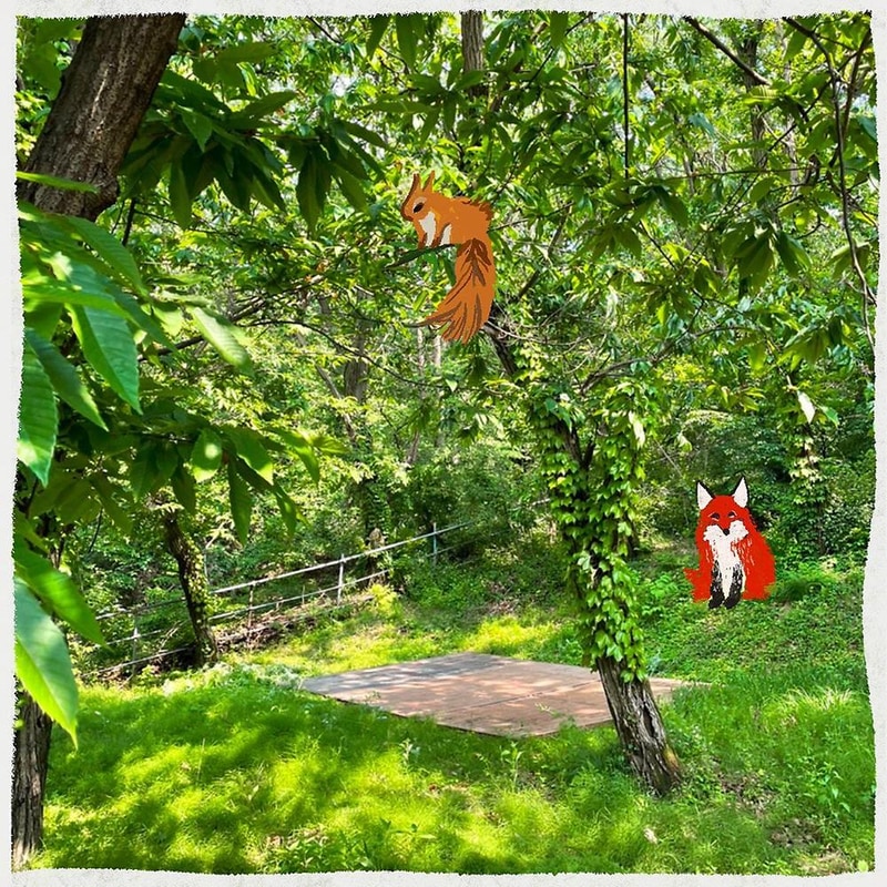 반달곰이 살던 숲 시설 사진 10