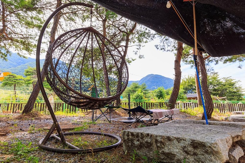 젠틀펫 파라다이스 시설 사진 15