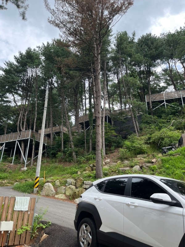 가평 “선택적고립 캠핑장”