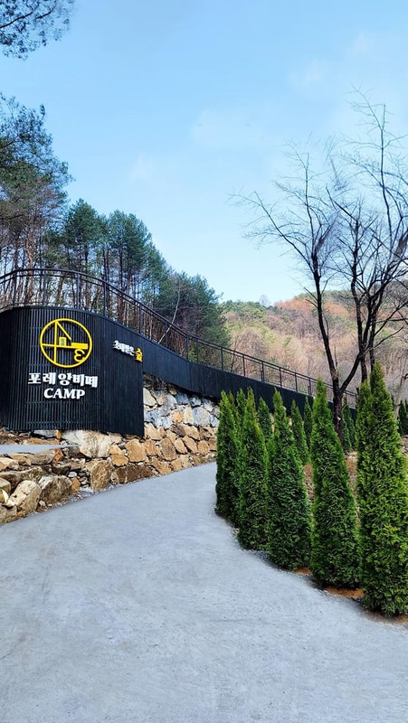 포레 앙비떼 대표 사진