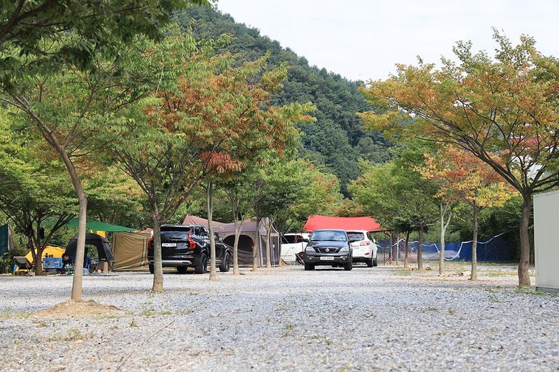 엄소리오토캠핑장 시설 사진 9