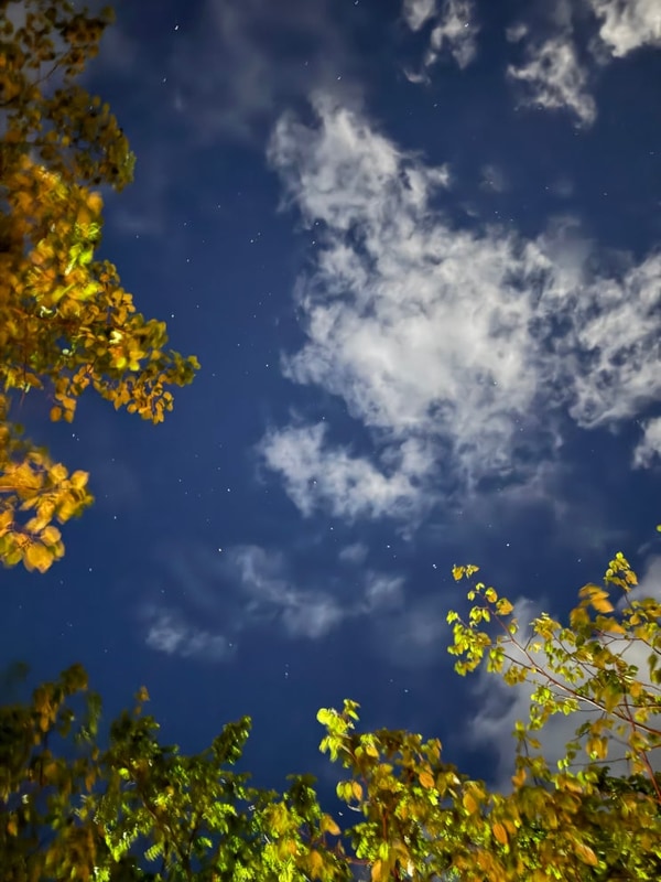 양양캠핑장 해담구룡령야영장에 캠핑하러 가자!