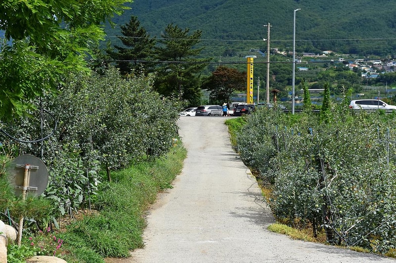초록슈피아오토캠핑장 시설 사진 14