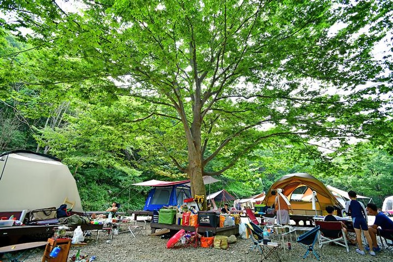 국립운장산자연휴양림 야영장 대표 사진