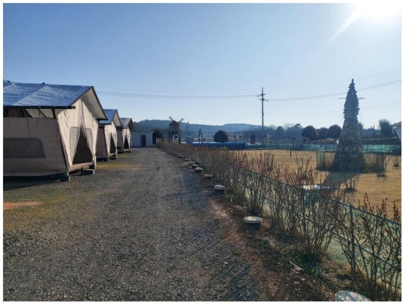 감성 가득한 태안글램핑 태안 안면도 비비애견동반캠핑장 후기