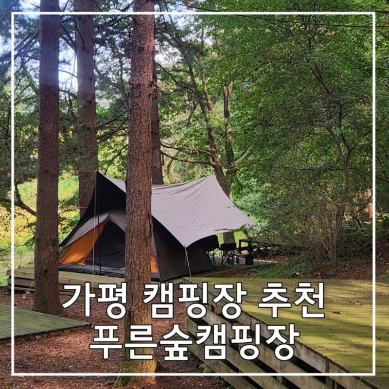 가평 캠핑장 추천 푸른숲캠핑장 내돈내산
