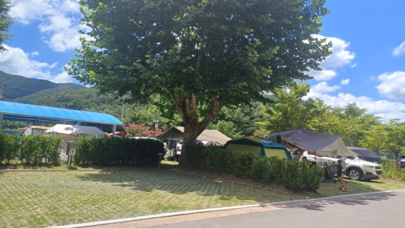 경남 아이랑 가볼만한 곳)의령 거장산오토캠핑장