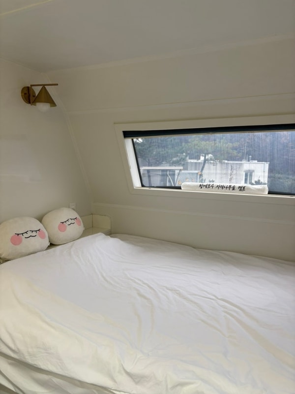 포천 카라반 청계호수 자작나무 숲 캠핑장 스파카라반 B 솔직후기