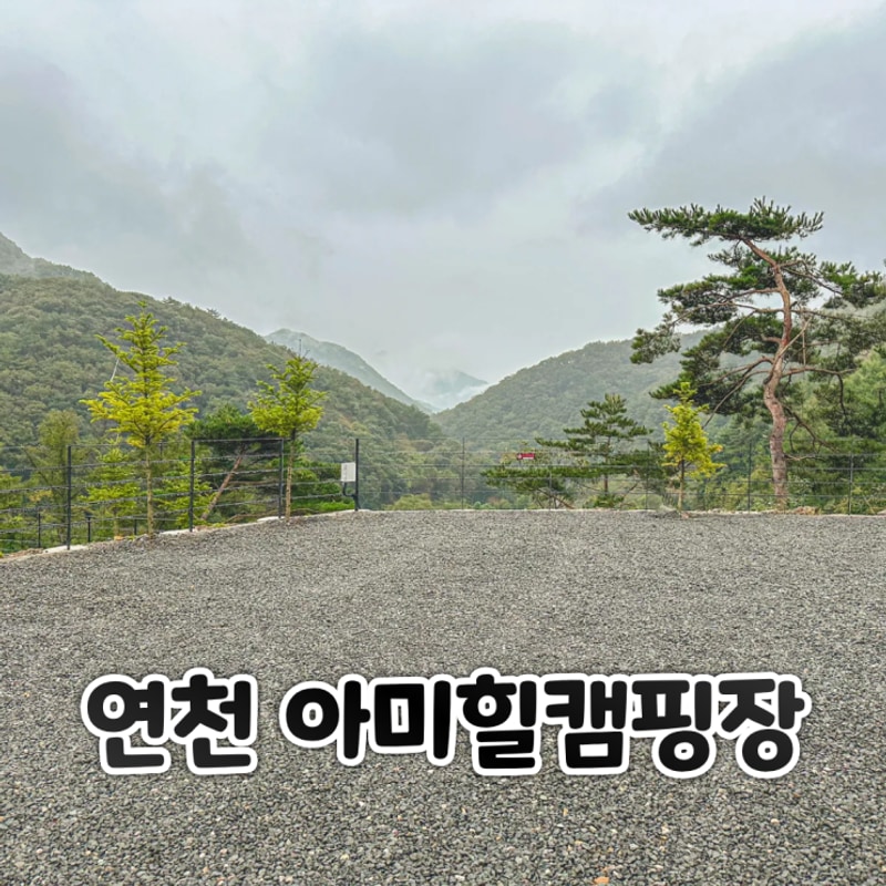 경기도 연천에 새로생긴 반려견 동반 아미힐 캠핑장