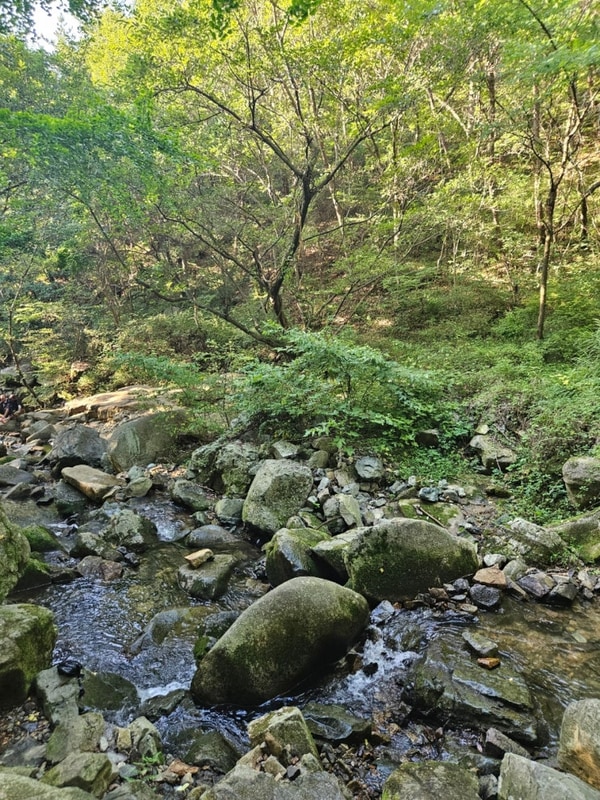 8월 무더위속 오토캠핑 16번자리 후기-창원달천공원오토캠핑장