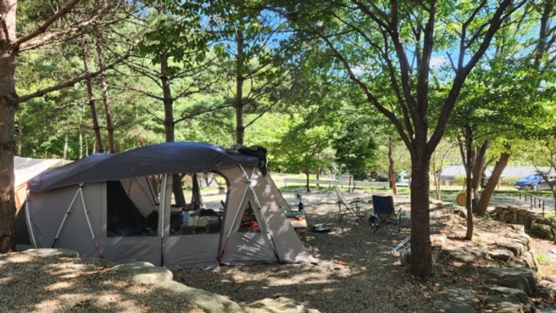 강원도 평창 삼남매와 뭉치네 캠핑장에서 여섯 번째 캠핑...