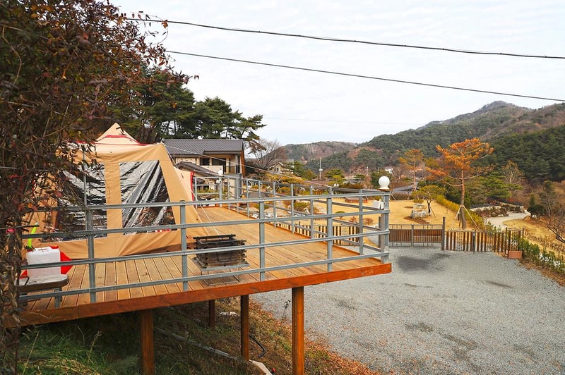 벳소캠프 시설 사진 5