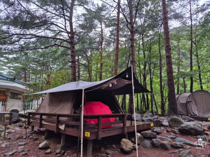 동해 캠핑 맛집은 바로 여기다... 솔직후기 무릉계곡힐링캠프장