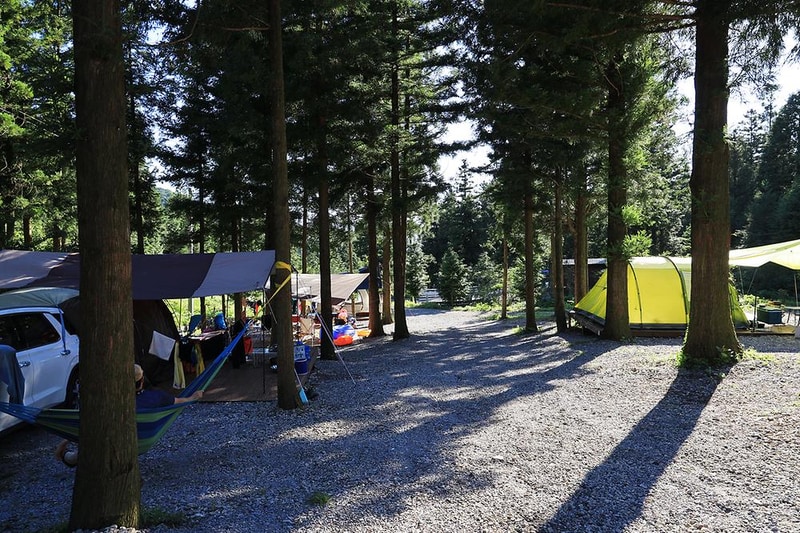 윤제림오토캠핑장 시설 사진 17