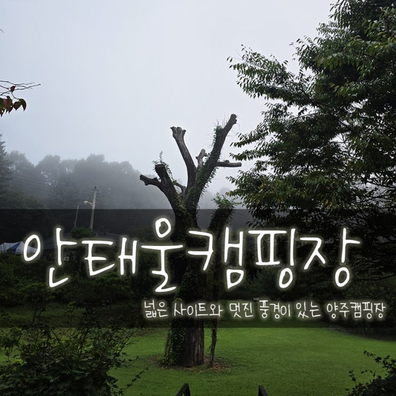 넓은 사이트와 잔디가 멋진 양주 안태울캠핑장 C존